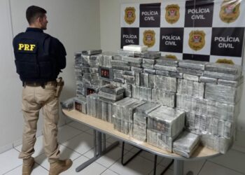 Morador de Maringá é preso pela PRF transportando 250 quilos de cocaína em trailer