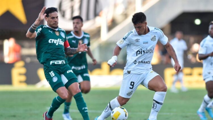 Foto: Ivan Storti/ Santos FC