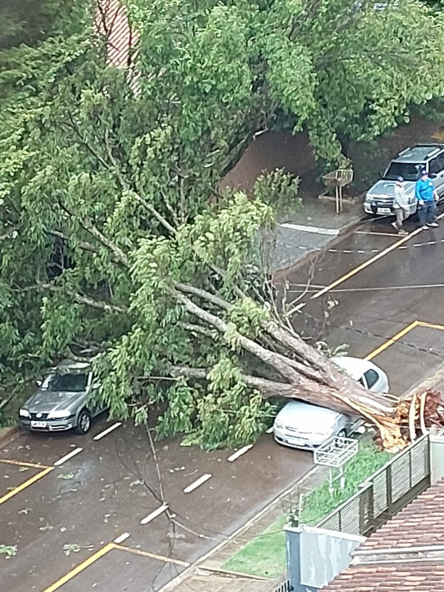 Equipes da Copel e prefeitura trabalham para recuperar os estragos causados pela chuva em Maringá