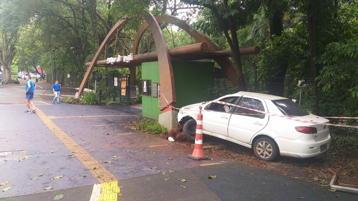 Motorista perde o controle do veículo e causa prejuízos no Parque do Ingá