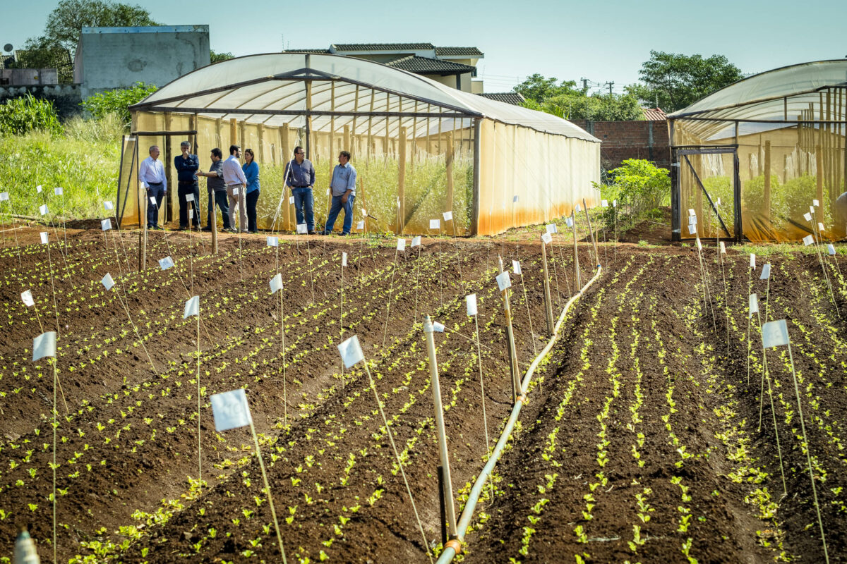 egressos do curso de Agronomia da UEM