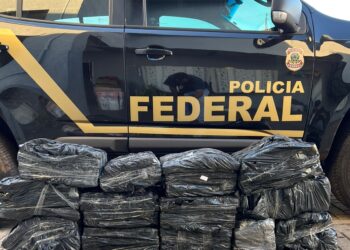 Casal é preso pela PF de Maringá com mais de 150 quilos de droga