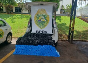 Polícia Rodoviária Estadual apreende 270 quilos de maconha em rodovia da região