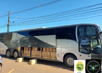 Polícia apreende mais de 6 mil litros de azeite trazidos irregularmente ao Brasil