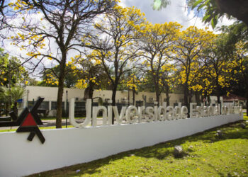 UEM conquista certificado internacional de universidade sustentável