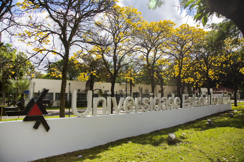 UEM conquista certificado internacional de universidade sustentável