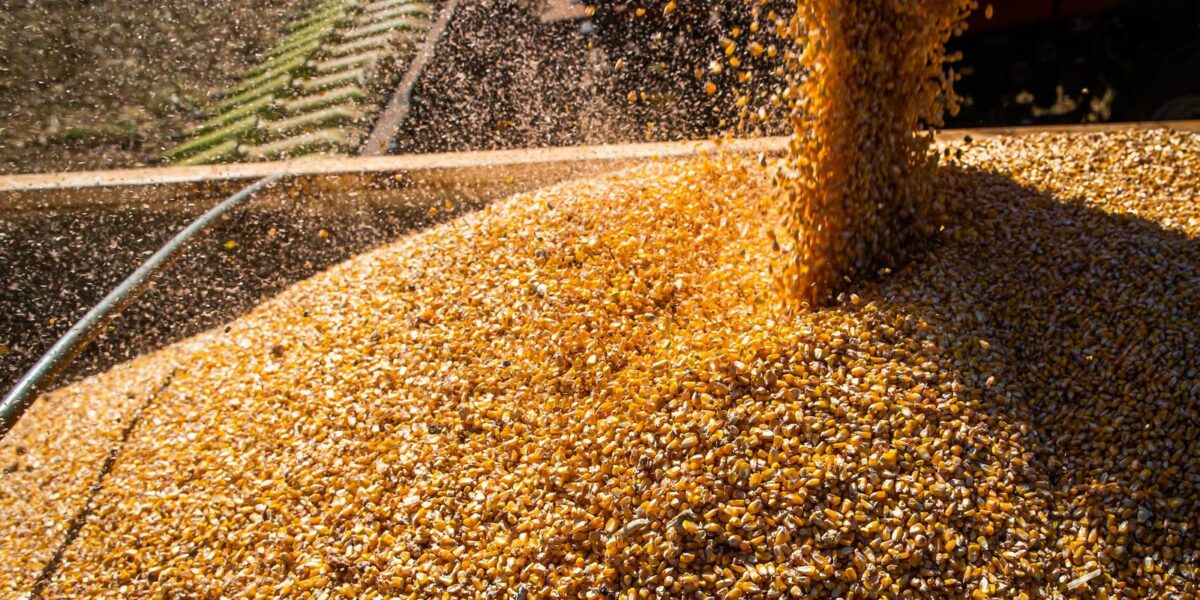 Exportações do agronegócio batem recorde em janeiro