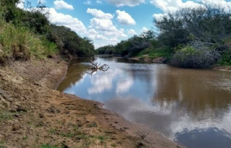 MIDR reconhece situação de emergência em mais sete cidades gaúchas que enfrentam a estiagem