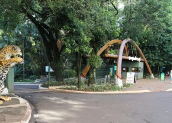 Parques de Maringá vão ficar abertos durante o carnaval