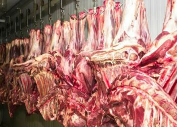 Entidades do agro pedem revisão do protocolo sanitário, após China retomar compra de carne