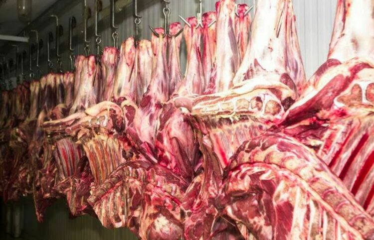 Entidades do agro pedem revisão do protocolo sanitário, após China retomar compra de carne