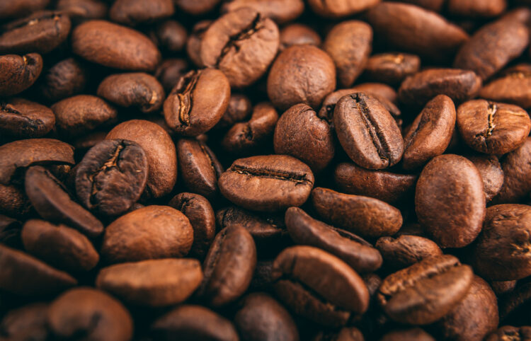 INDICADORES: café arábica e robusta iniciam a segunda-feira (06) em queda