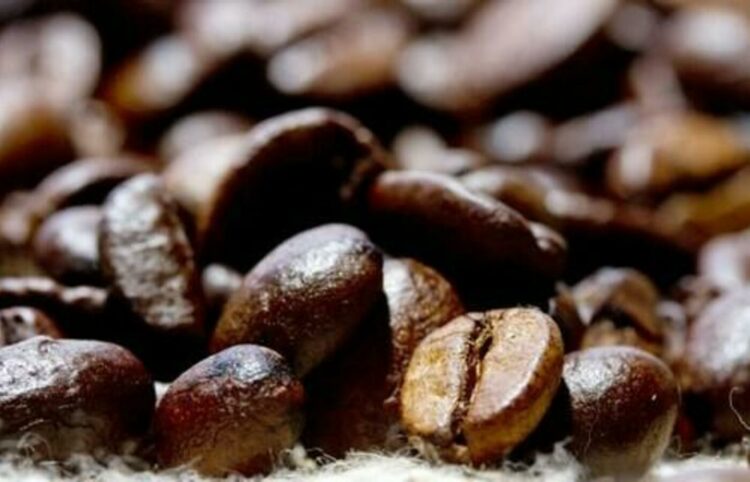 INDICADORES: preço do café arábica inicia a quarta-feira (22) com alta de 0,71%