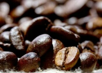 INDICADORES: preço do café arábica inicia a segunda-feira (20) com queda de 1,30%