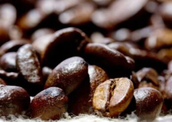 INDICADORES: preço do café arábica inicia em baixa pelo segundo dia consecutivo