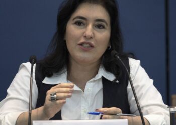 Simone Tebet diz que novo arcabouço fiscal garante investimentos