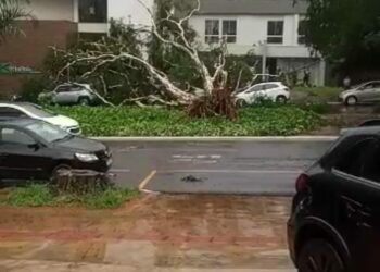 Vídeos – chuva causa estragos em Maringá e deixa 15 mil imóveis sem luz