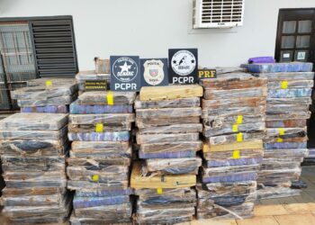 Denarc e outras forças policiais apreende 2,7 toneladas de maconha