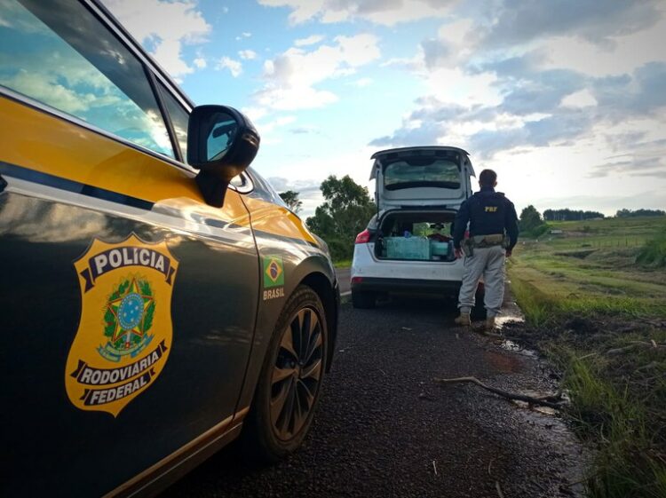 PRF apreende mais de meia tonelada de maconha na região de Maringá