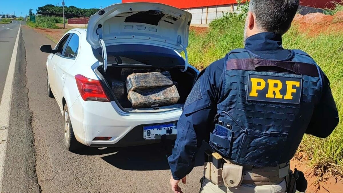 PRF apreende quase 390 quilos de maconha na região de Maringá