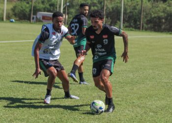 De olho no Flamengo, Maringá FC anuncia reforço e renova contratos
