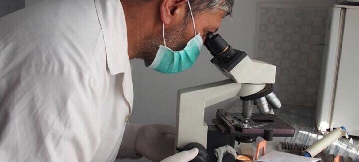 A OMS enfatiza a necessidade urgente de pesquisa e desenvolvimento para tuberculose resistente a medicamentos, juntamente com patógenos resistentes a antibióticos recentemente priorizados