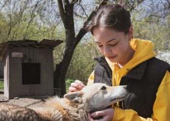 Em meio à guerra na Ucrânia, jovens se unem para proteger santuários de animais