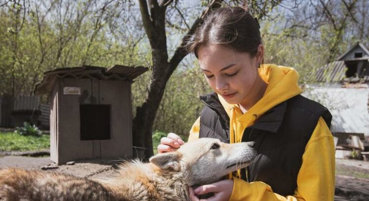 Em meio à guerra na Ucrânia, jovens se unem para proteger santuários de animais