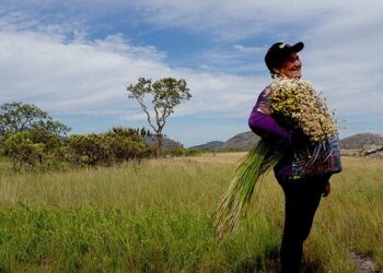 Brasil na lista da FAO de 12 países com Sistemas de Patrimônio Agrícola Global