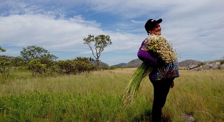 Brasil na lista da FAO de 12 países com Sistemas de Patrimônio Agrícola Global