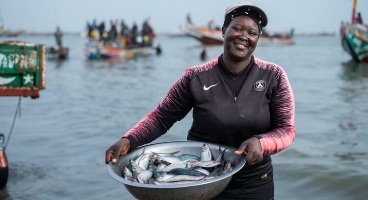 Crescimento do mercado da pesca pode beneficiar Angola, diz Unctad
