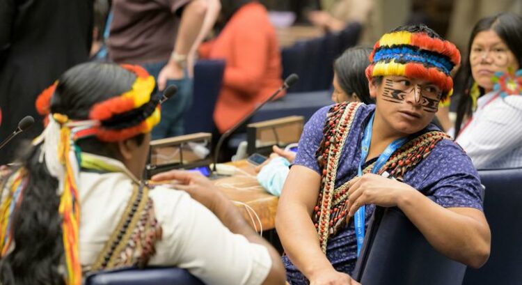 OMS adota resolução elevando saúde indígena ao nível de prioridade global