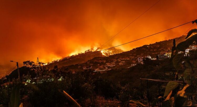 Portugal: previsão mostra verão com “cenário complexo” sobre desastres naturais