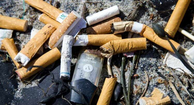 Moçambique: ex-fumadores partilham experiências de como abandonaram o tabaco