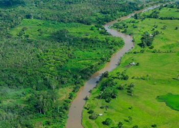 Tráfico de drogas acelera devastação ambiental e crimes na Bacia Amazônica