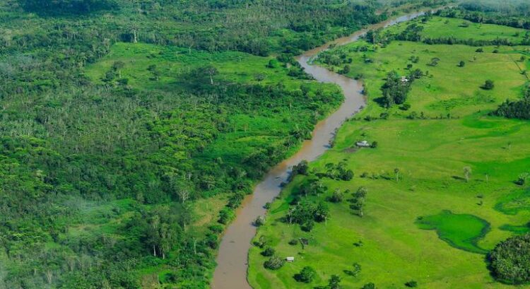 Tráfico de drogas acelera devastação ambiental e crimes na Bacia Amazônica