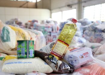 Ações promovidas na Expoingá resultam na arrecadação de 60 toneladas de alimentos e produtos