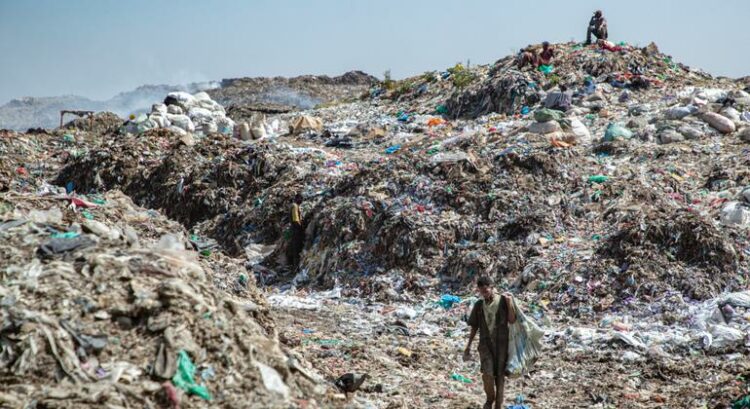 Agência da ONU adverte que “ciclo de vida do plástico” precisa ser repensado