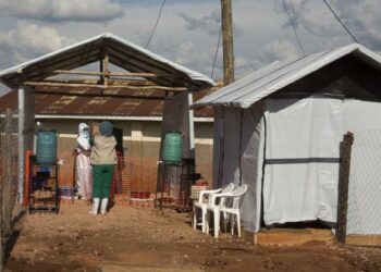 OMS declara fim do surto do vírus Marburg na Guiné-Equatorial