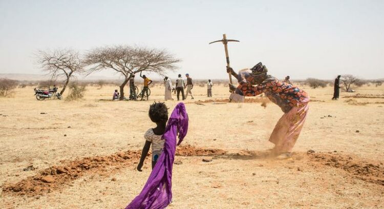 Em Dia Mundial, ONU destaca papel das mulheres no combate à desertificação