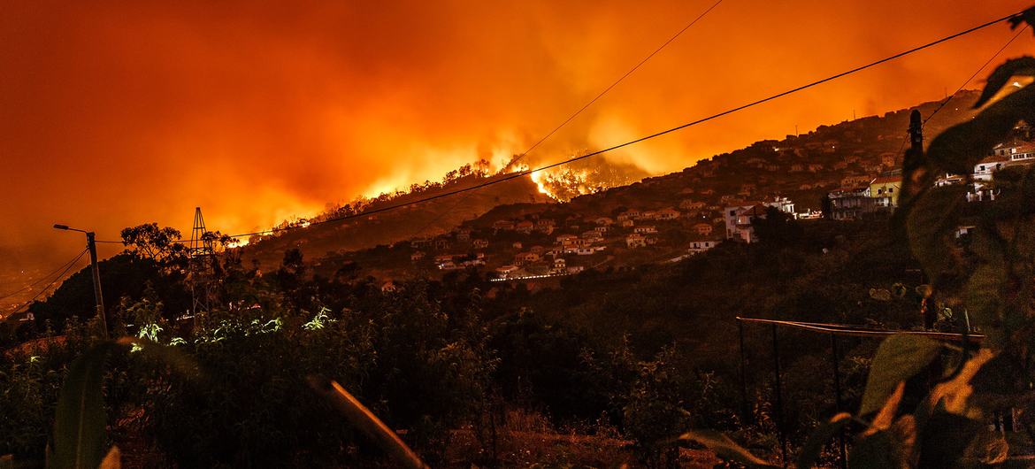 Uma floresta queima no Estreito da Calheta, em Portugal