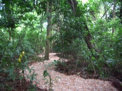 trilha ecológica do Catuaí Shopping