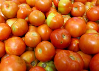 Em 12 meses, o tomate acumula alta de 38,30% na Cidade Canção (Crédito: Jaelson Lucas/Arquivo AEN)