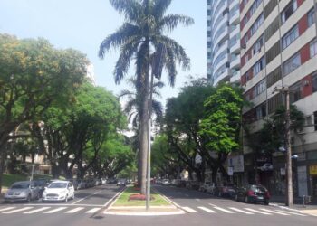 Avenida XV de Novembro em Maringá