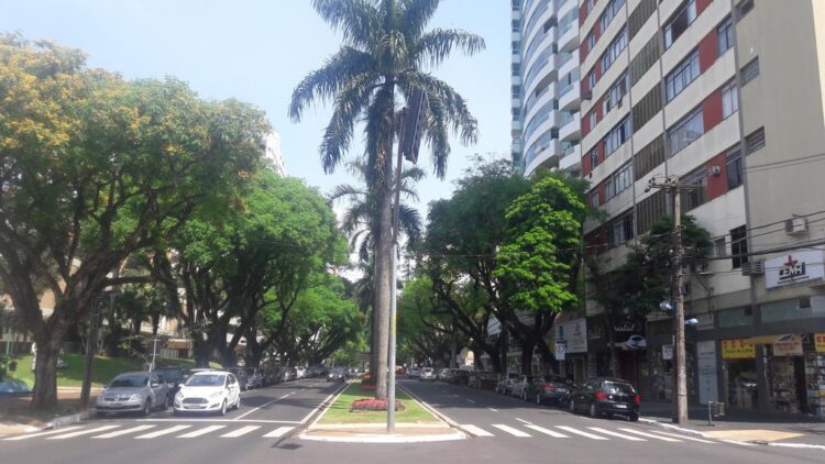 Avenida XV de Novembro em Maringá