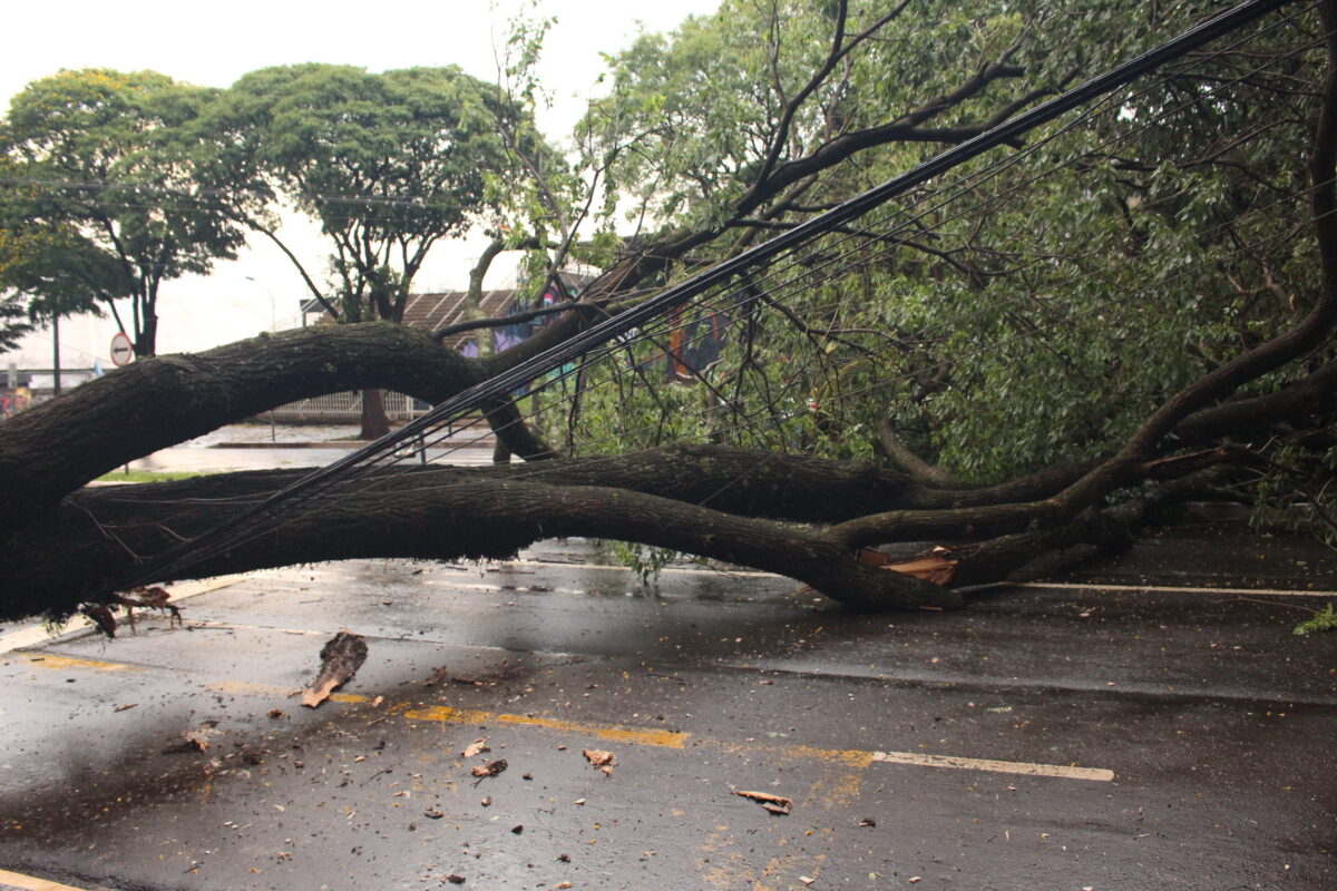 Eu acho que vai garoar por aqui rsrs. . . #tornado #chuva