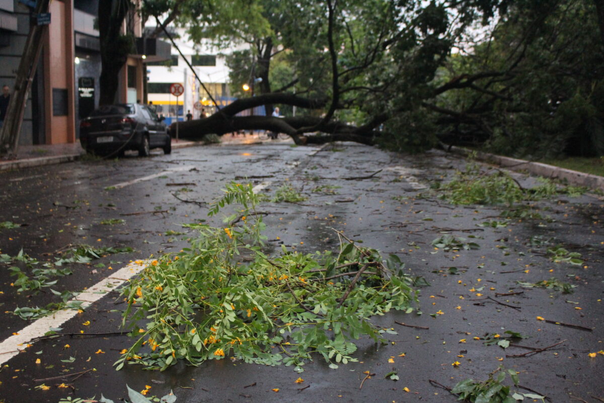 Eu acho que vai garoar por aqui rsrs. . . #tornado #chuva