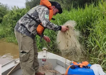 Para garantir a reprodução de peixes nesta época, o IAT vai aumentr a fiscalização Foto: IAT