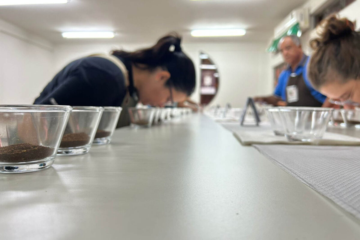 café qualidade paraná 2023