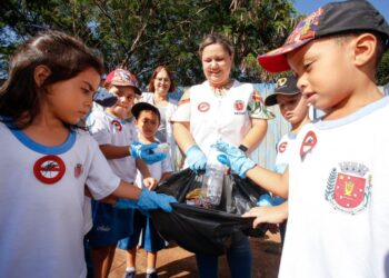 crianças dos CMEIs como agentes multiplicadores no combate à dengue
